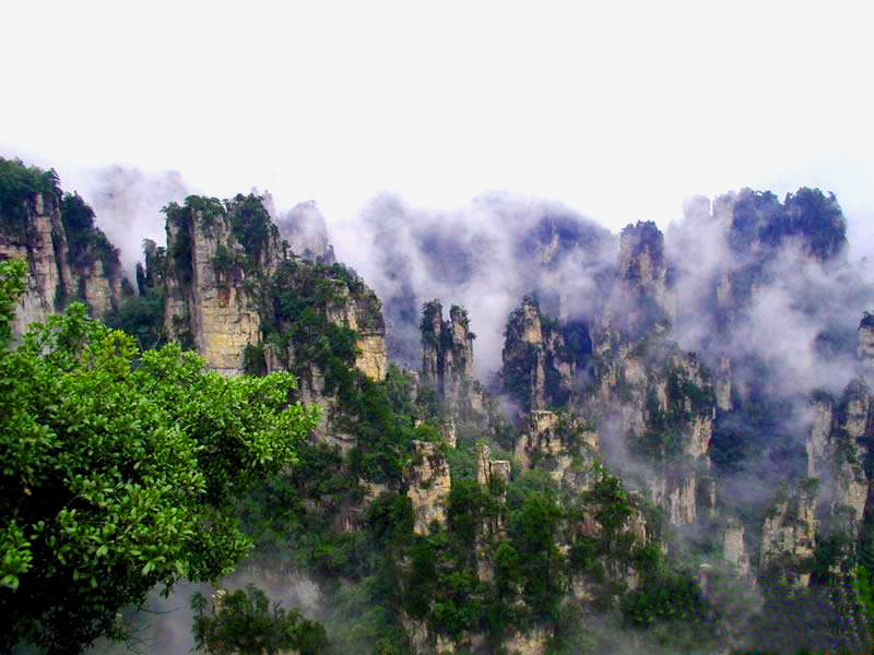 天子山峰林