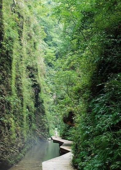 张家界大峡谷